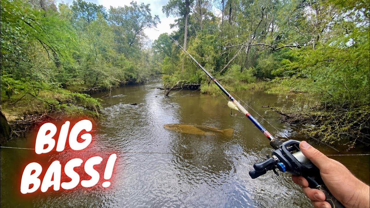 Bass Fishing a Southern Swamp + GIVEAWAY
