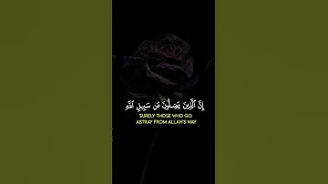 تلاوة خاشعة القارئ الشيخ عبدالله الموسى القرآن الكريم