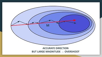 6. Momentum Optimizer and Nesterov Accelerated Gradient Optimizer | Deep Learning | Machine Learning