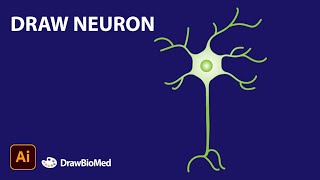 Draw Neuron in Adobe Illustrator | Illustrator for scientists | Graphical abstract | Science figures