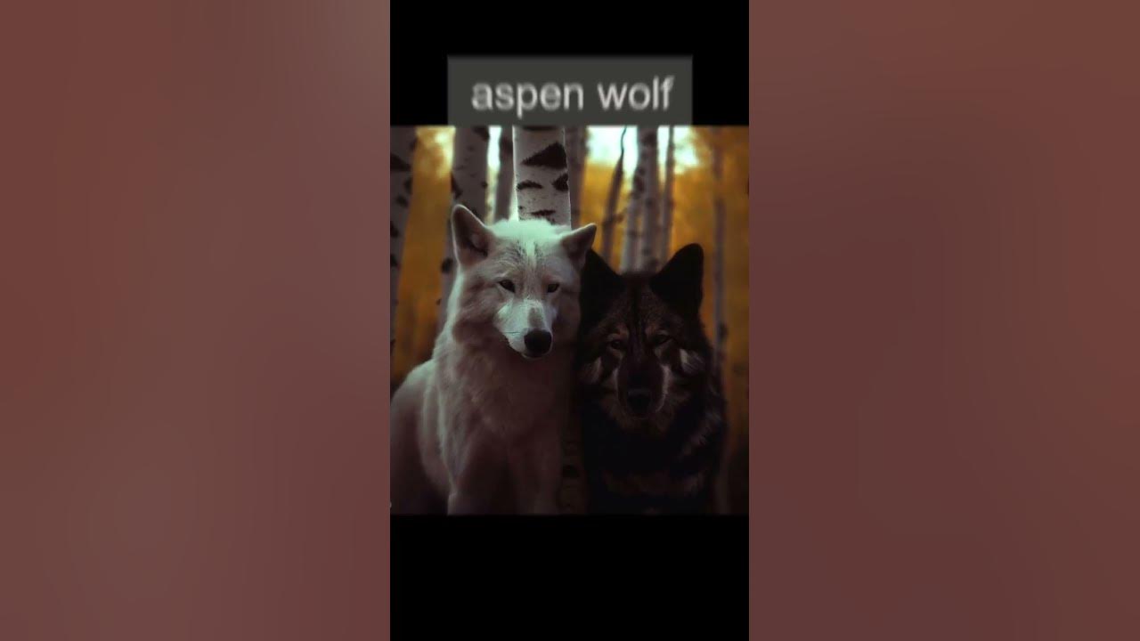 WolfQuest YT'R's wolves' names but AI generated! CUPICATE EDITION - YouTube