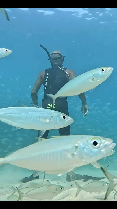 Fishball & Surfers #coolstuff #bigisland #hawaii
