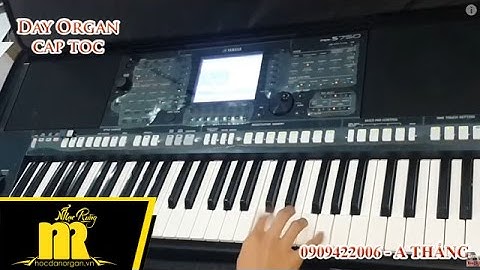 Học Đàn Organ Cấp Tốc TPHCM - Intro Đêm Cuối - Học Organ Online-Cơ Bản-Nâng Cao-★0909422006★