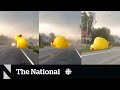 #TheMoment a giant inflatable duck blew across a Michigan road