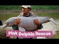 Pink Dolphin Rescue - Endangered Species Revenge