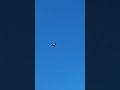avion