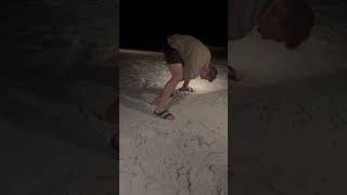 Chasing Ghost Crabs on Panama City Beach Florida.