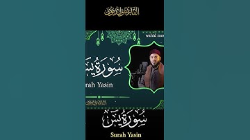 سورة يس#قران_كريم #قرآن #سورة_البقرة #سورة_الكهف #سورة_الواقعة #ওয়ালিদ_মুসা #আম  তিলাওয়াত #সব