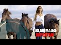 Zilvi Roselli - Los Animales Importan [Lyrics Video]