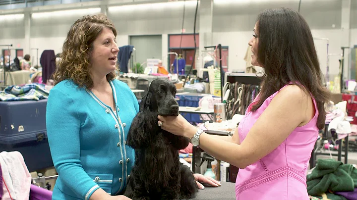 Road to Westminster (RTW): Professional Handler an...