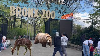 New York Bronx Zoo Walking Tour [4K] #bronxzoo #newyorkcitywalkingtour #bronx #walktour