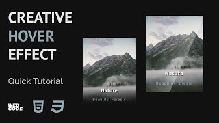Creative Card Hover Effect HTML & CSS (Quick Tutorial)