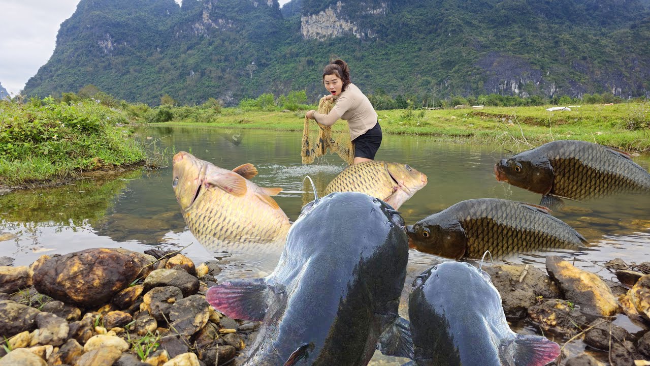 Use fishing nets to catch many big fish in natural streams. - YouTube