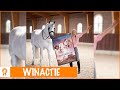 WINACTIE: Wil jij George ontmoeten? | PaardenpraatTV