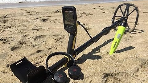 Deteknix Quest PRO + Nokta GOLD+ & IMPACT Metal Detector