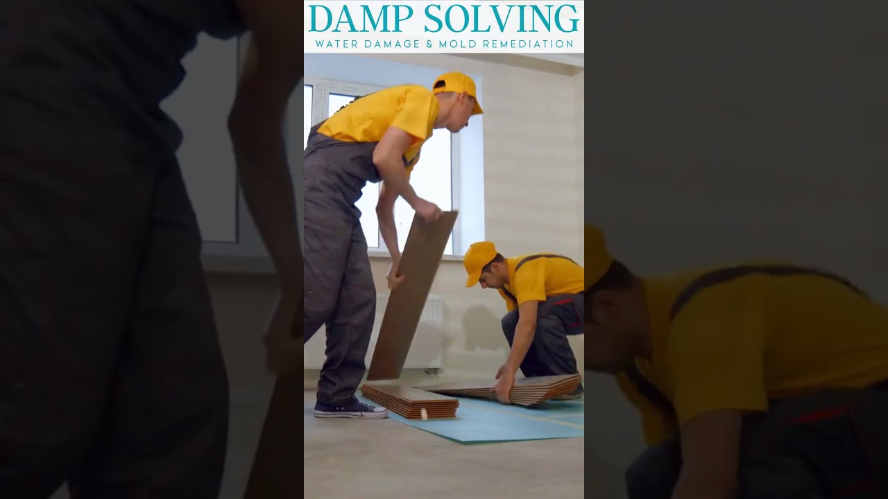 How Much Does Mold Remediation Cost In Orlando Florida | Damp Solving Water & Mold