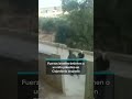Fuerzas israelíes detienen a un niño palestino en Cisjordania ocupada