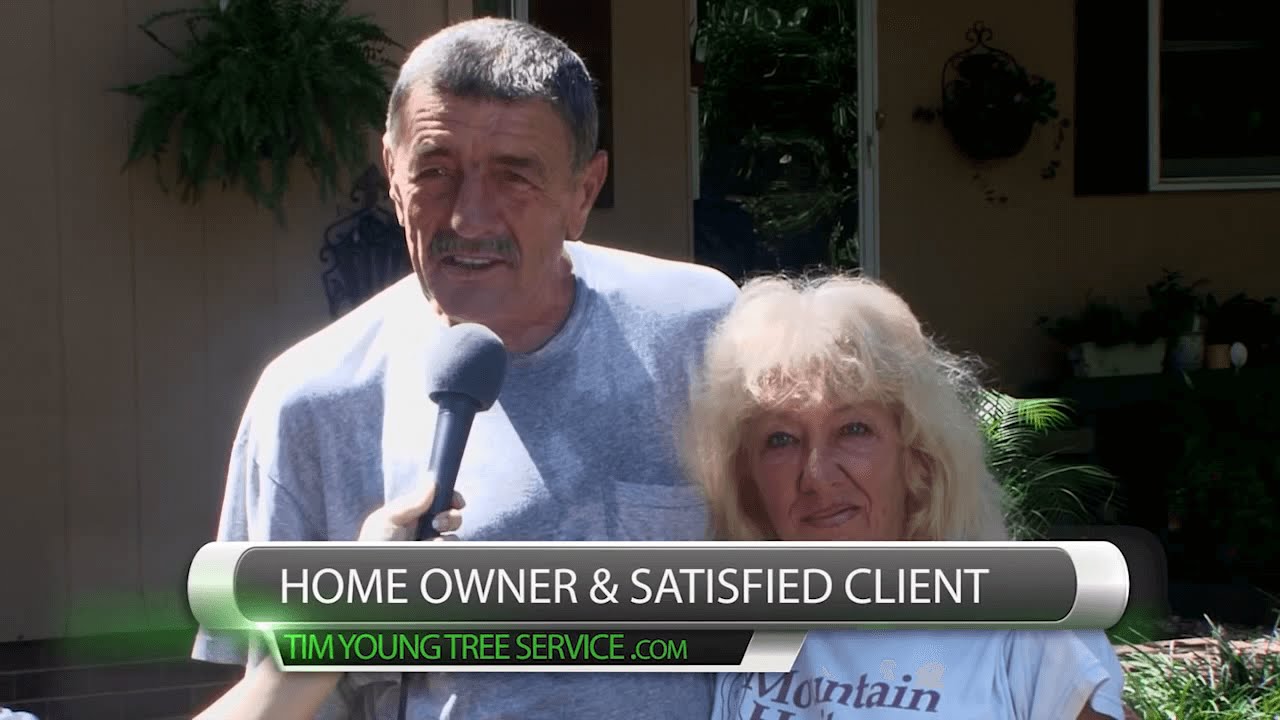 Tree Removal in Lancaster SC Tim Young Tree Service YouTube