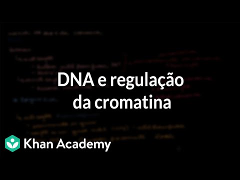 Vídeo: Quando o dna é cromatina metilada?