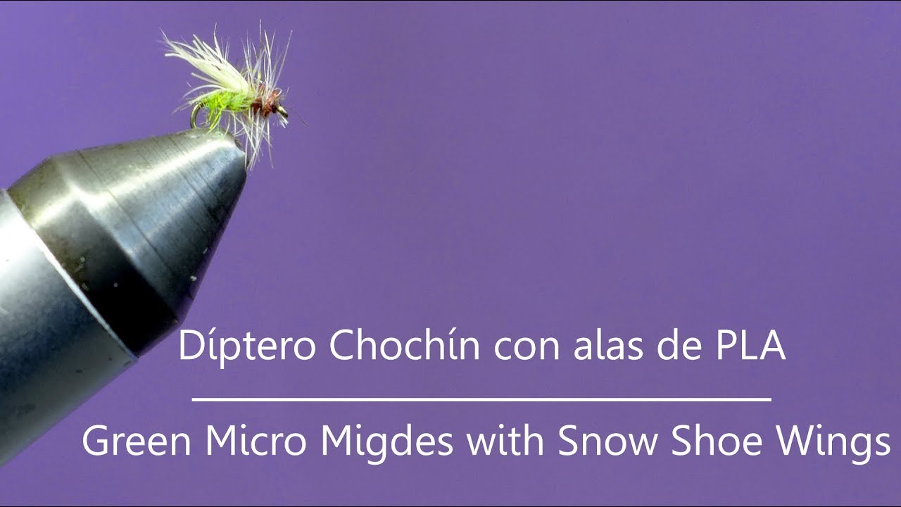 Montaje de un Chochín o Díptero de Peralejos