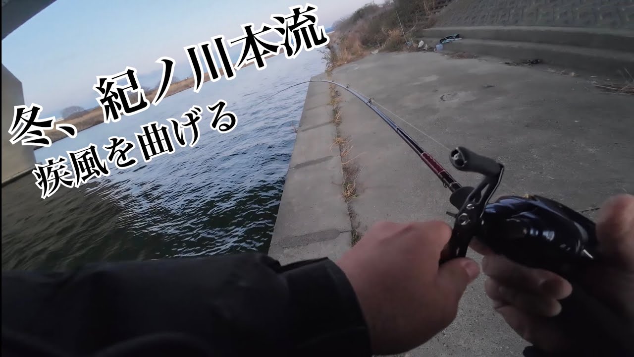 冬の紀ノ川、短時間本流勝負。