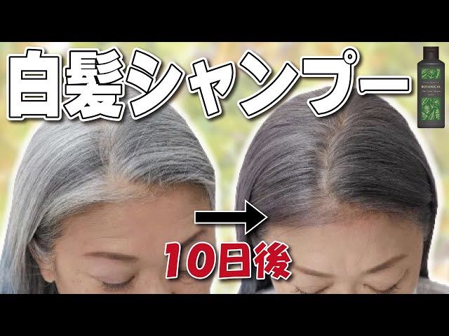 白髪が染まるクリームシャンプー 楽天市場】【新色登場】【LINEお友だち追加で500円クーポン】白髪染め