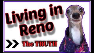 Living in Reno: PROS & CONS [The TRUTH]