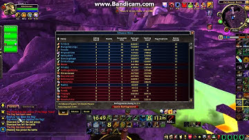 WoW Molten Hacker Reporting: Borchvor