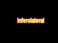 What Is The Definition Of Inferolateral Medical School Terminology Dictionary