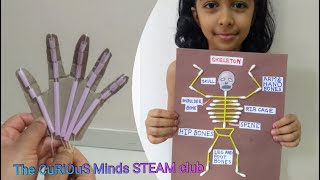 Bones and Muscles activities (Use subtitles for 2nd activity)