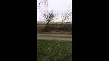 TBS GEMINI Speed FPV