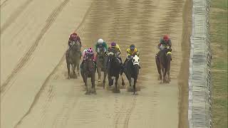 Race 8 Master 2025 06 18