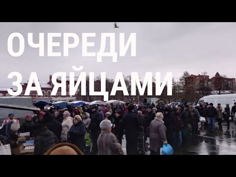 В России взлетели цены на яйца. Почему?