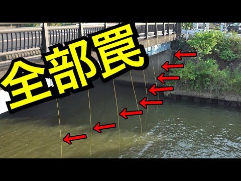 街中に流れる川に大量の『罠』を仕掛けたら･･･
