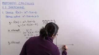 Famous MATH1011 Calculus Section 1.1 Question 1 Net Worth