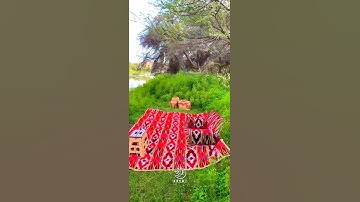 صوت رائع: ما قلت لهم إلا ما أمرتني به القارئ : محمد الغزالي