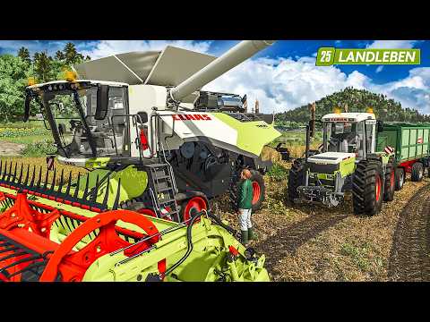 Reifen-Upgrade und Soja schrubben! | Landleben #67 | LANDWIRTSCHAFTS SIMULATOR 25