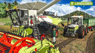 Reifen-Upgrade und Soja schrubben! | Landleben #67 | LANDWIRTSCHAFTS SIMULATOR 25