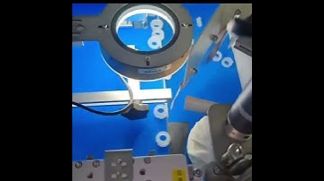O ring seals visual inspection#machinevision #visualsorting #visualdetection #visioninspection #avi