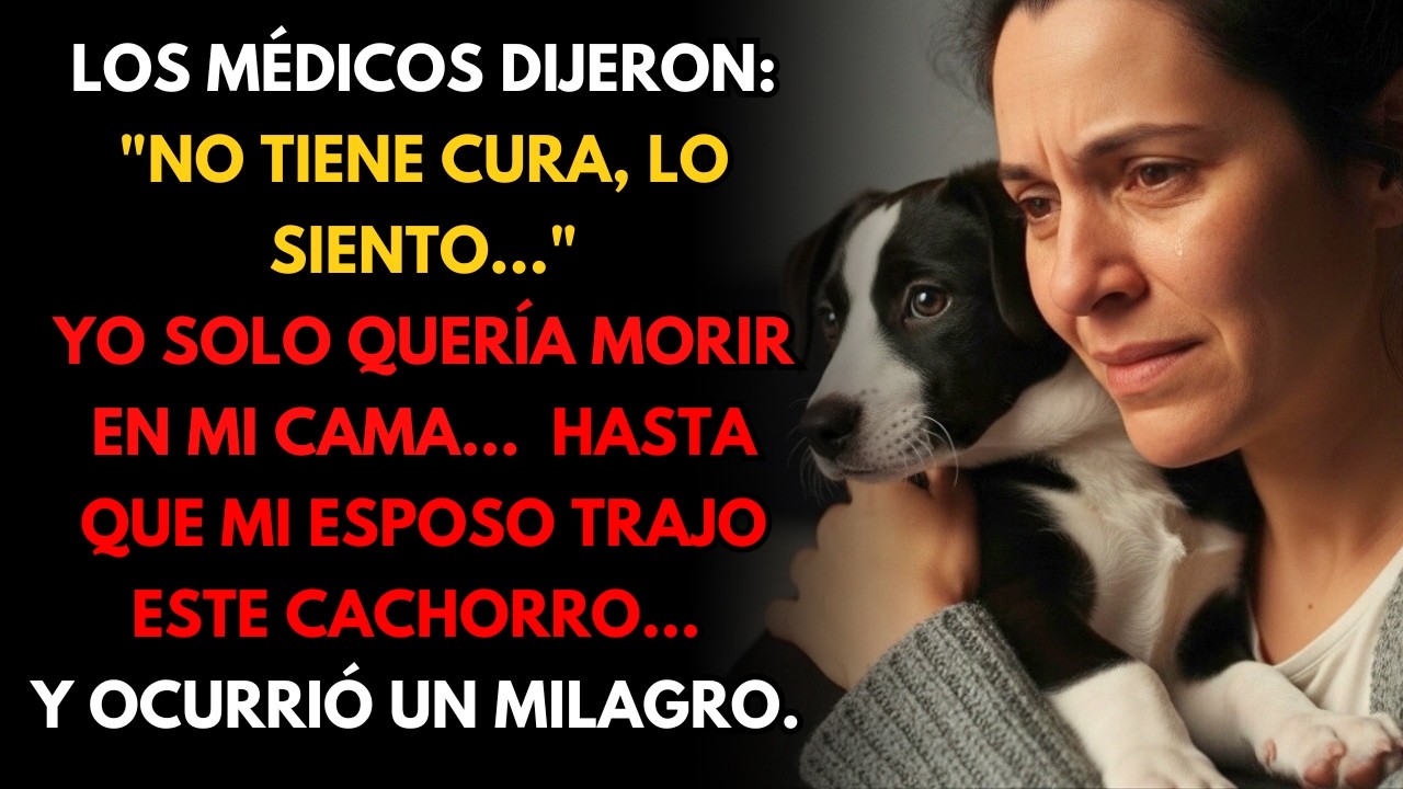 Mi Esposo Me Regaló Un Perro Cuando Ya No Tenía Esperanza Y Él Me Curó
