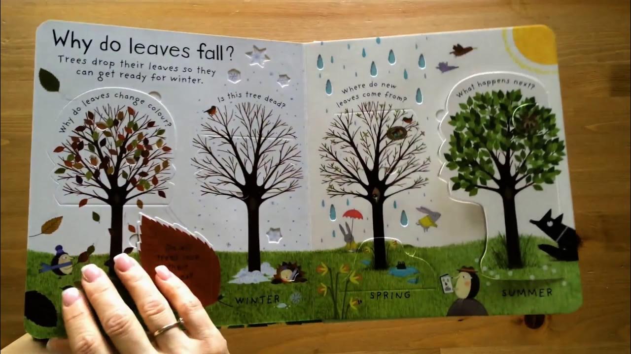 How do flowers grow? Usborne YouTube