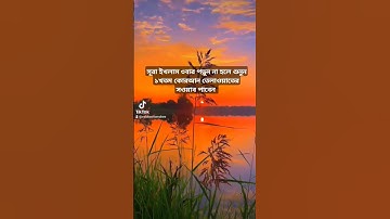 সূরা ইখলাস سورة الإخلاص #foryou