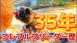西日本一のフレブル犬舎フレブルブリーダー歴35年の犬舎に見学行ってきた【後編】