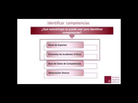 Video: ¿Cuántos escaneos de competencias en el lugar de trabajo identifica la comisión?