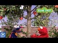 セサミストリート：スーパーグローバーがエルモのりんごを救う （日本語字幕）