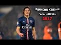 Эдинсон Кавани– голы за «ПСЖ» 2017