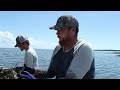 Oystering in trouble: How farming could rescue Florida’s Gulf Coast