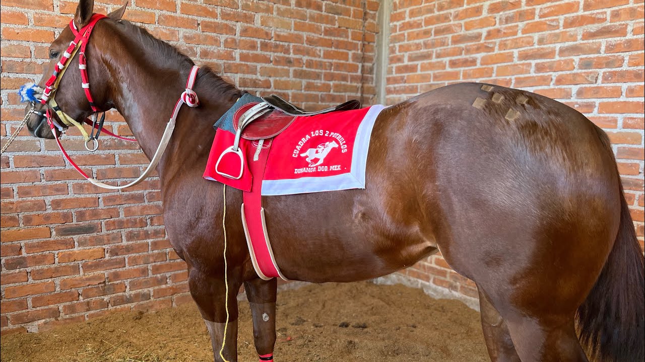 La Coronita Vs El Niño | Carril La Tira, Durango Mex.