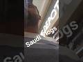 super market Saudi Arabia #saudivlog #youtubeshorts #shorts #trending #youtubeshorts