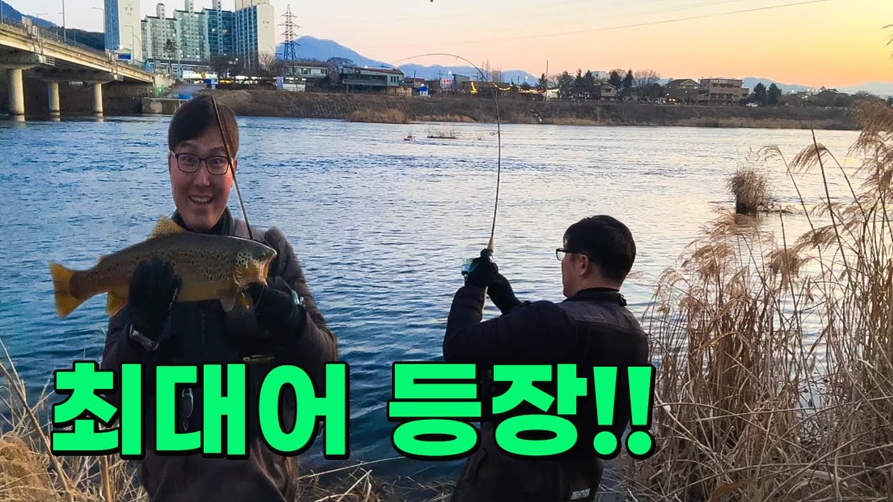 한겨울 소양강에서 만난 브라운송어, 그 짜릿한 순간